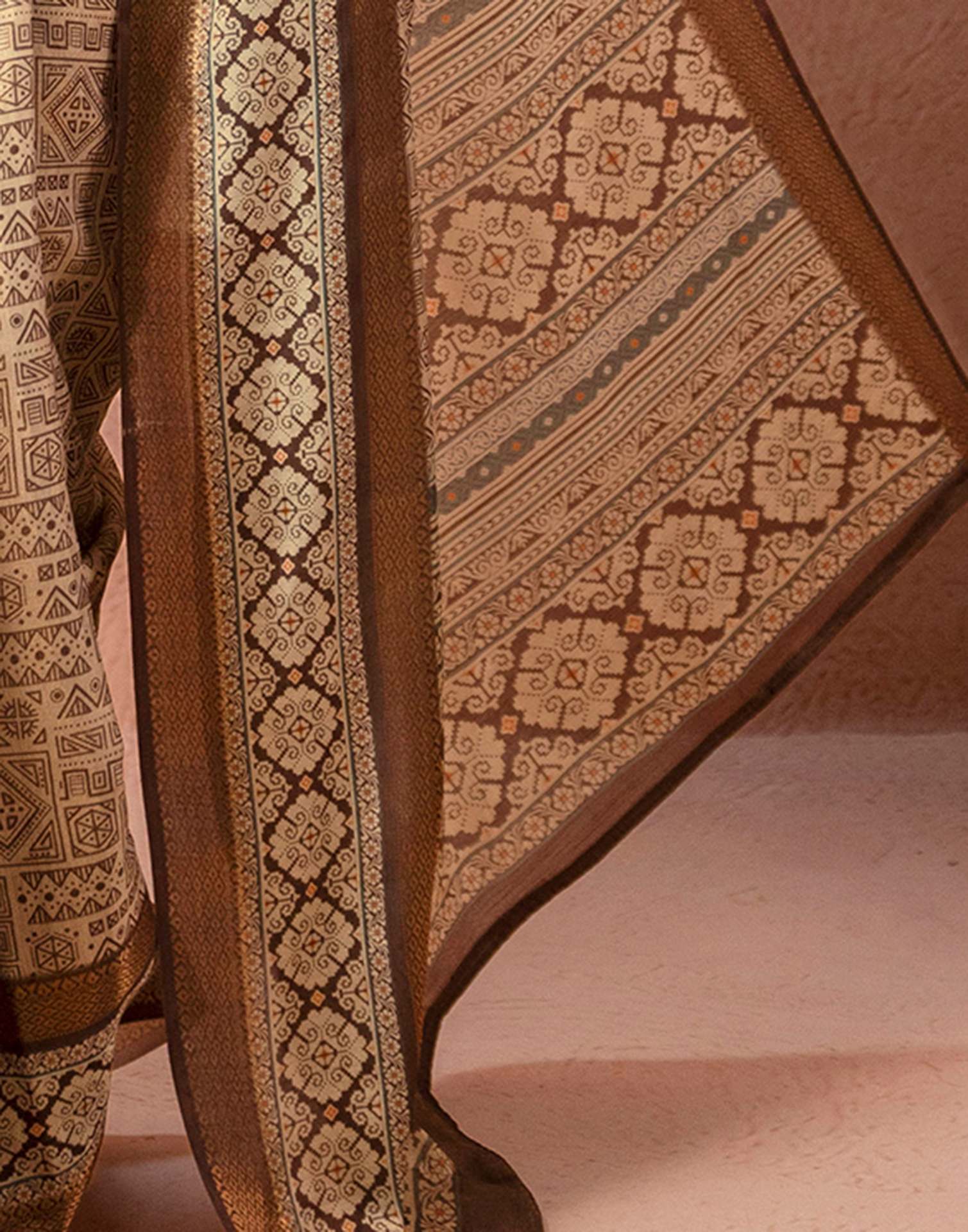 Beige Cotton Silk Printed Woven Border Saree - Image 14