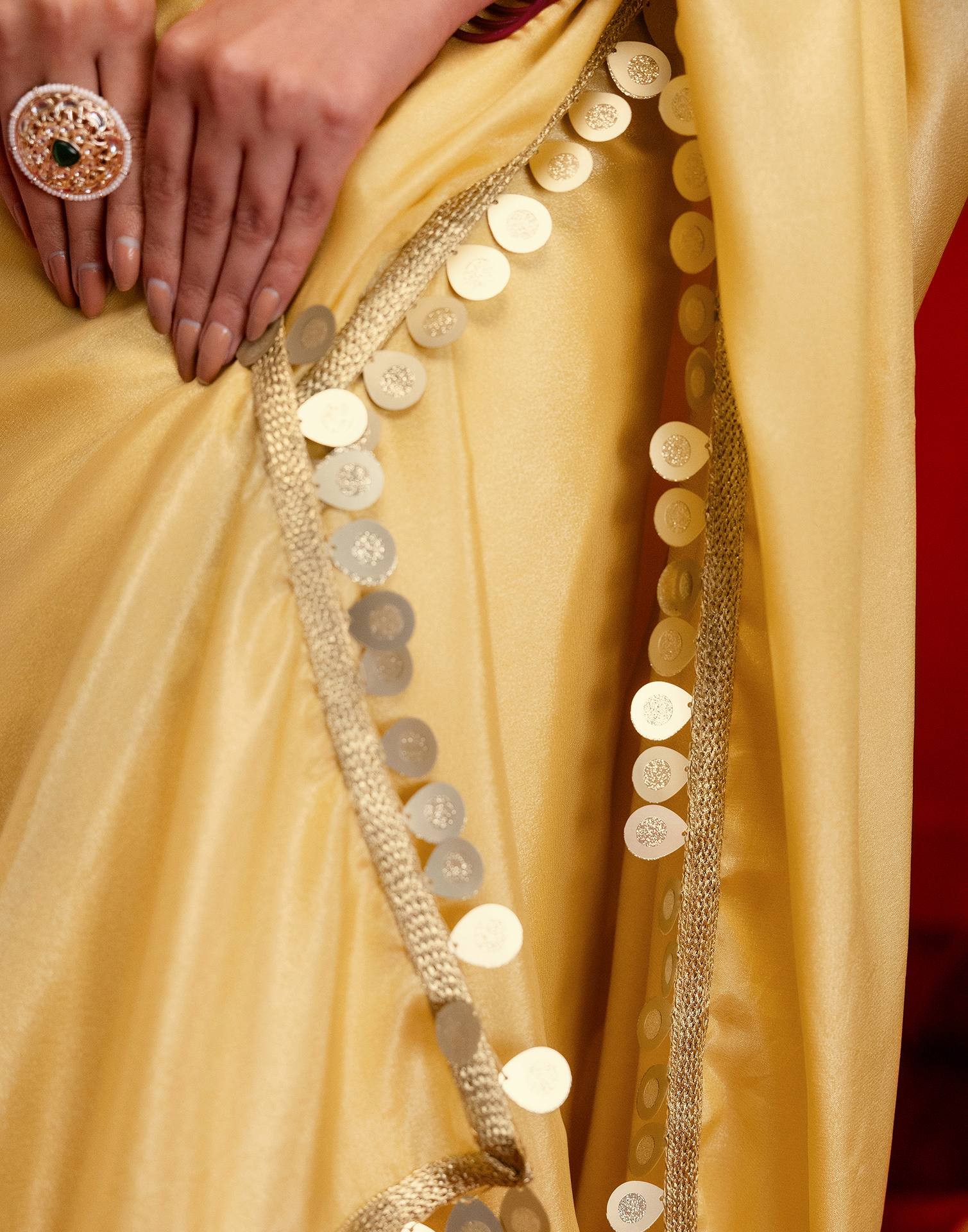 Dusty Golden Shimmer Lace Saree - Image 9