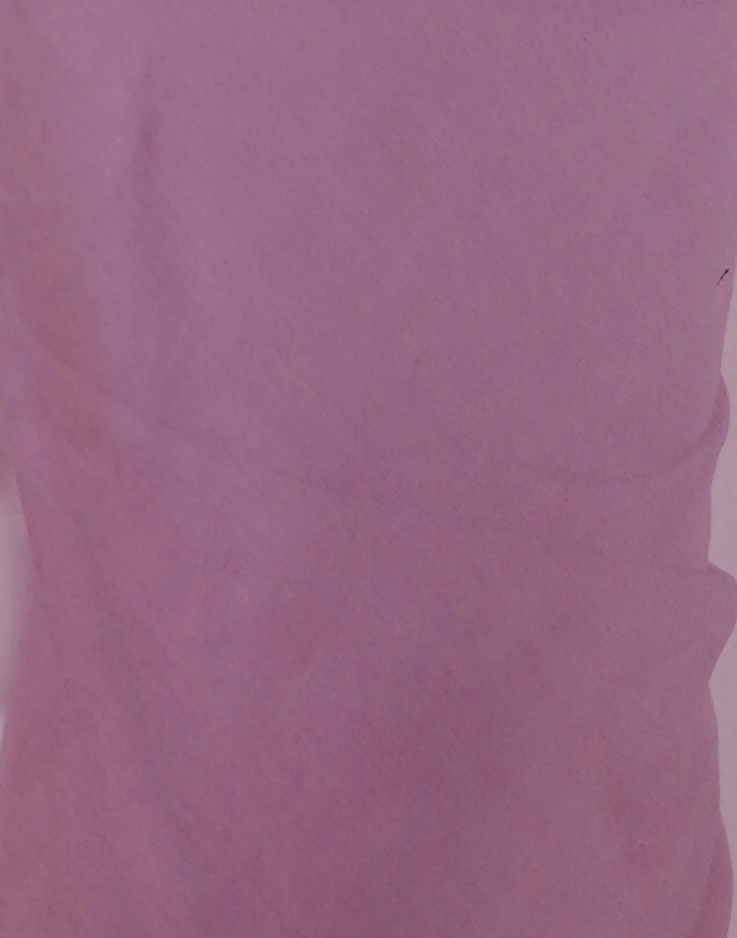 Mauve Georgette Lace Saree - Image 9